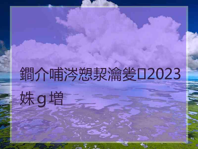 鐧介哺涔愬洯瀹夎2023姝ｇ増