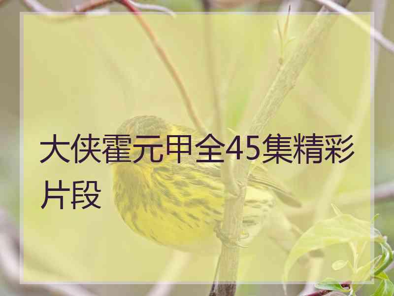 大侠霍元甲全45集精彩片段