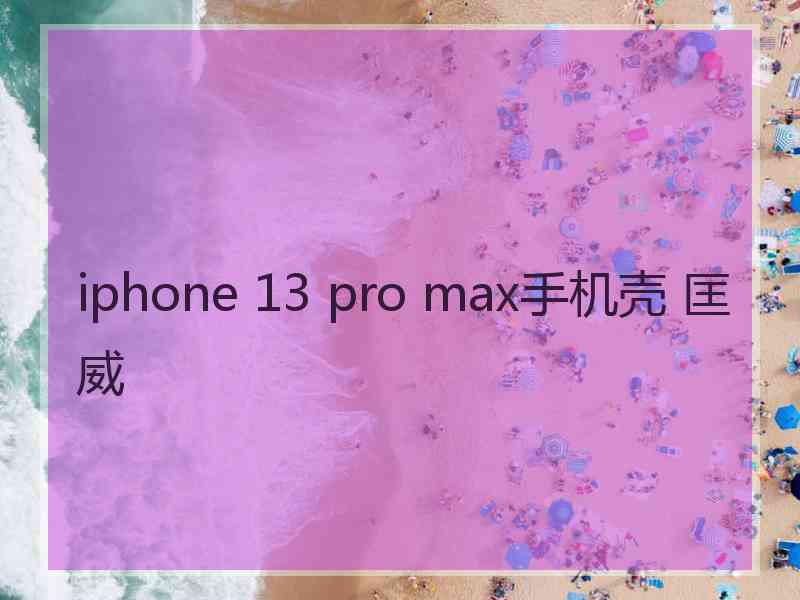 iphone 13 pro max手机壳 匡威