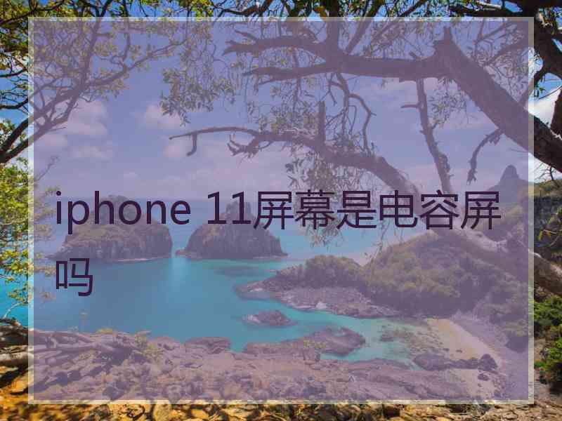 iphone 11屏幕是电容屏吗