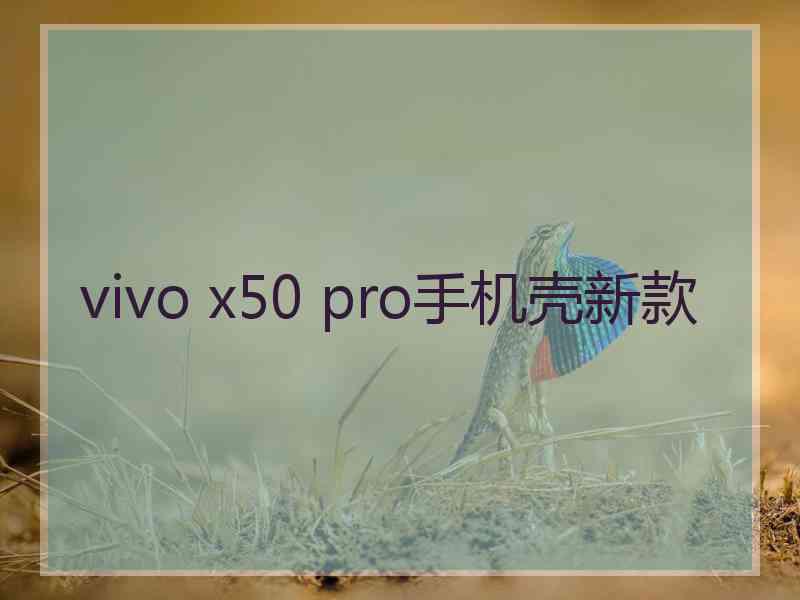 vivo x50 pro手机壳新款