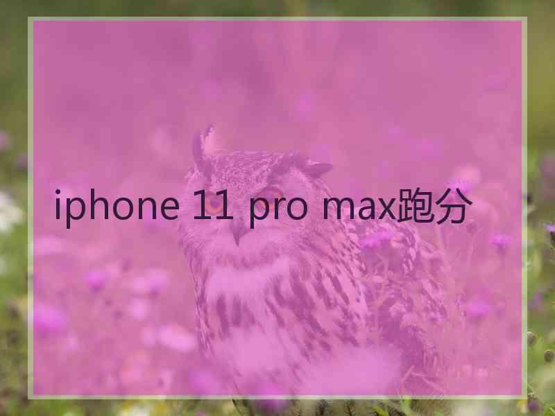 iphone 11 pro max跑分