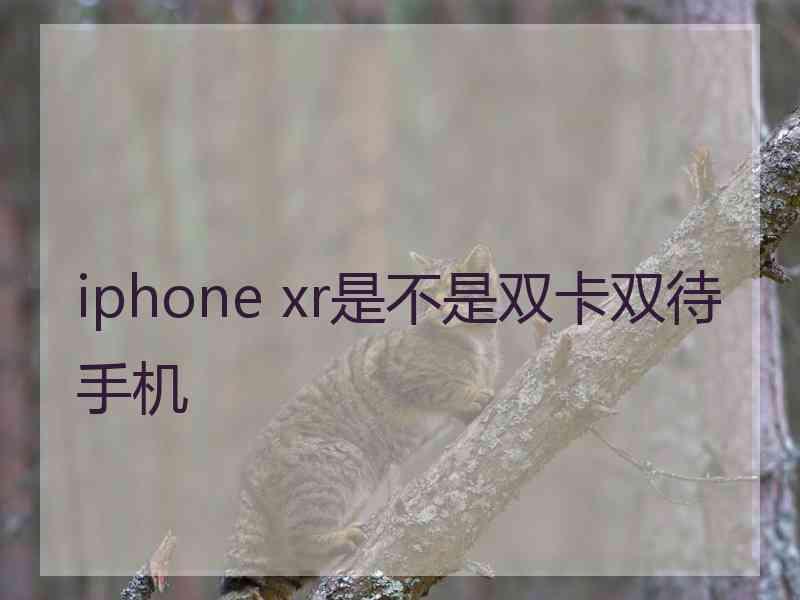 iphone xr是不是双卡双待手机