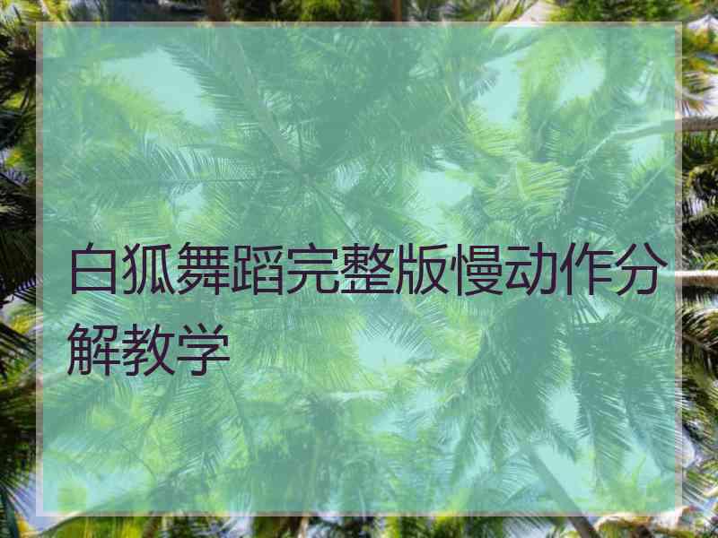 白狐舞蹈完整版慢动作分解教学