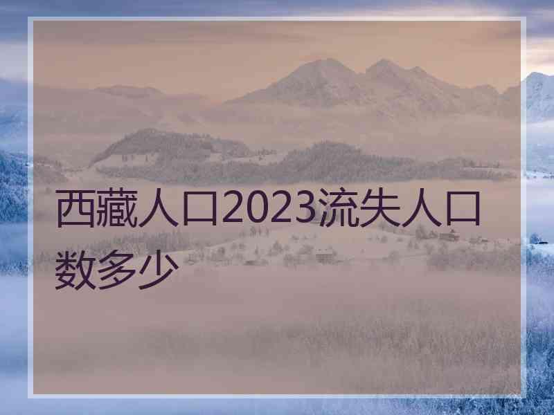 西藏人口2023流失人口数多少