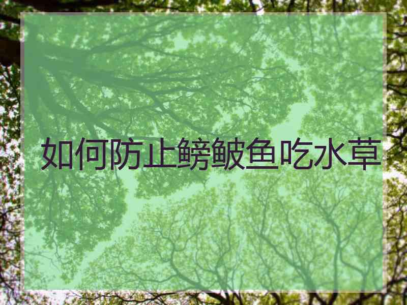 如何防止鳑鲏鱼吃水草