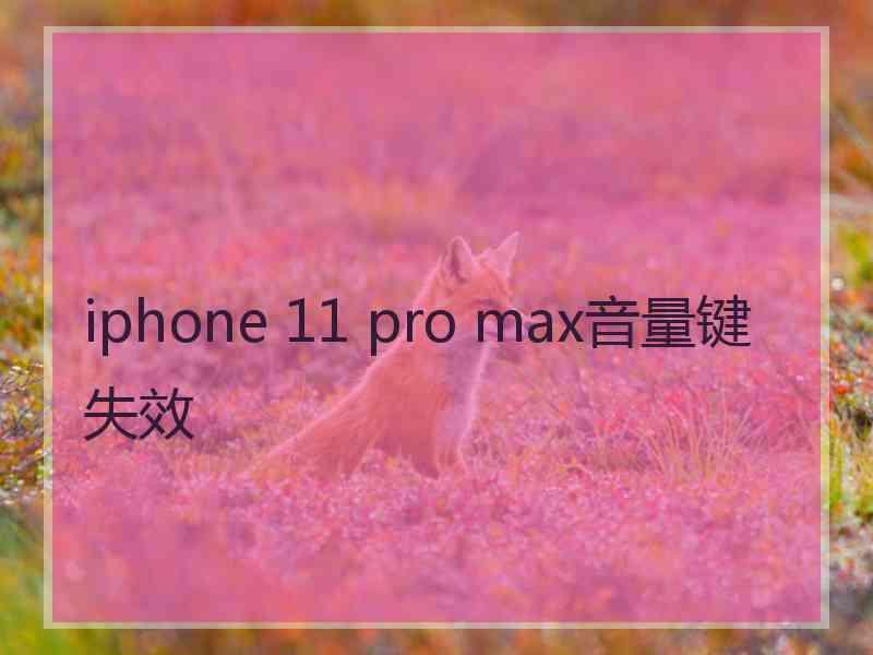 iphone 11 pro max音量键失效