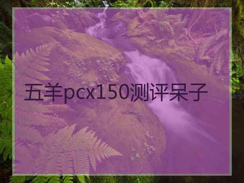 五羊pcx150测评呆子