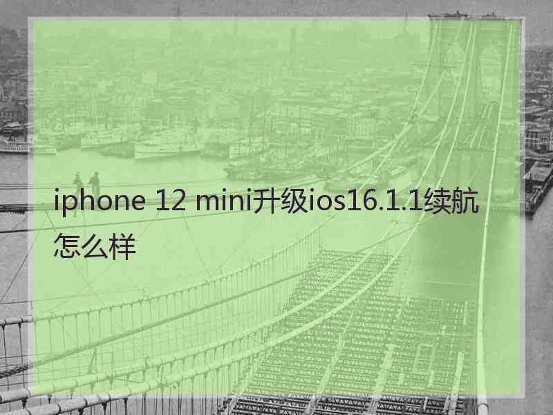 iphone 12 mini升级ios16.1.1续航怎么样