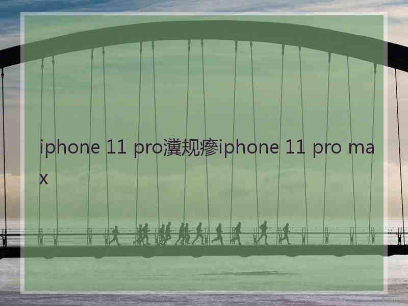 iphone 11 pro瀵规瘮iphone 11 pro max