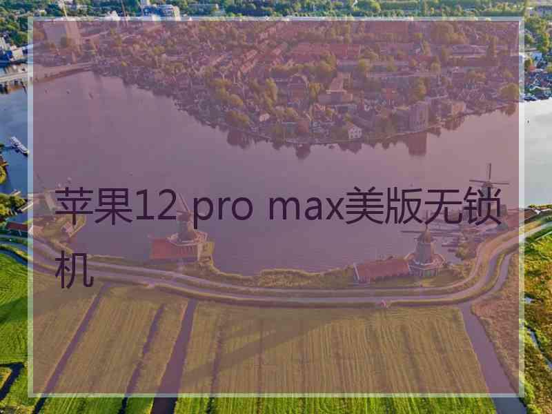 苹果12 pro max美版无锁机