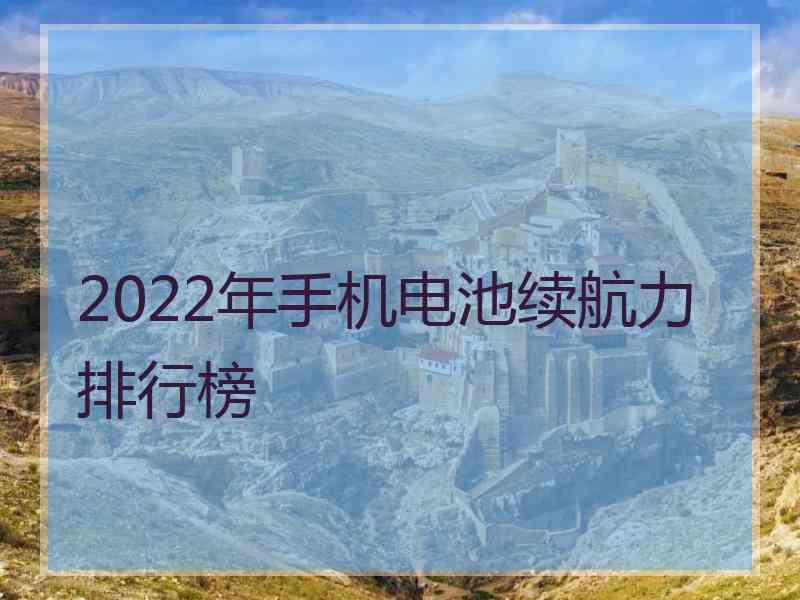 2022年手机电池续航力排行榜