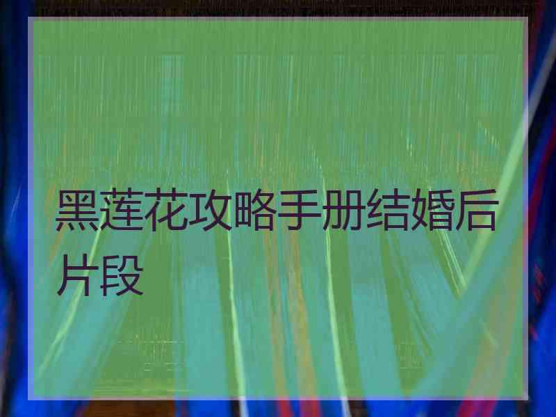 黑莲花攻略手册结婚后片段