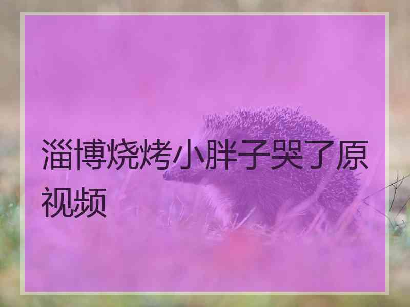 淄博烧烤小胖子哭了原视频