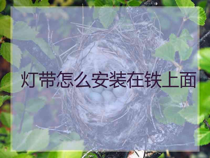 灯带怎么安装在铁上面