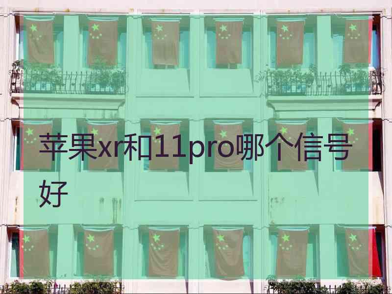 苹果xr和11pro哪个信号好