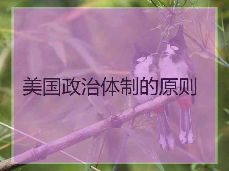 美国政治体制的原则