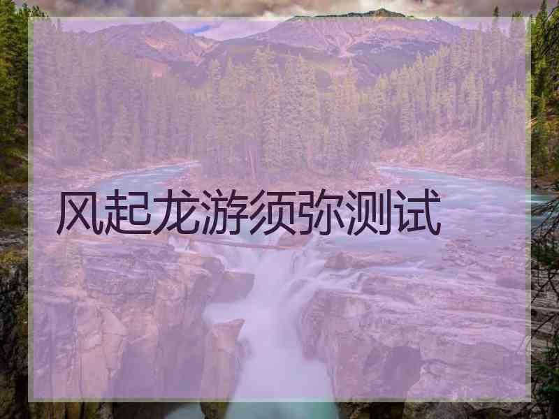 风起龙游须弥测试