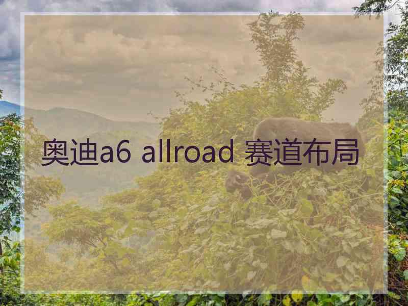 奥迪a6 allroad 赛道布局