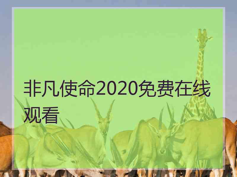 非凡使命2020免费在线观看