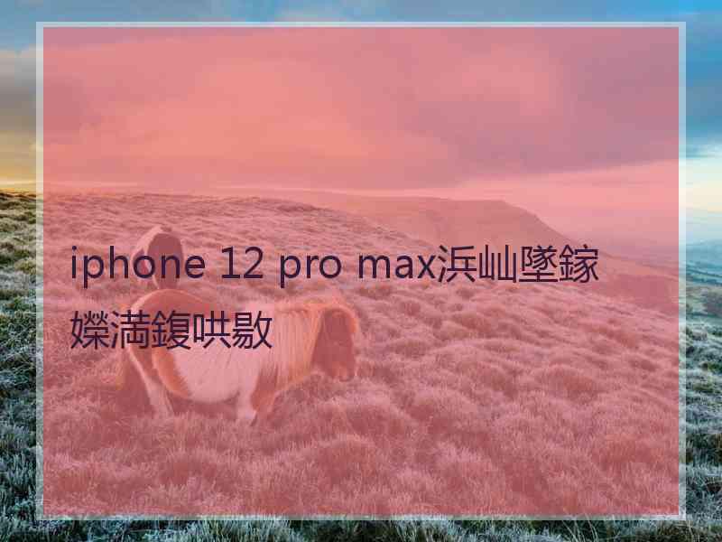 iphone 12 pro max浜屾墜鎵嬫満鍑哄敭