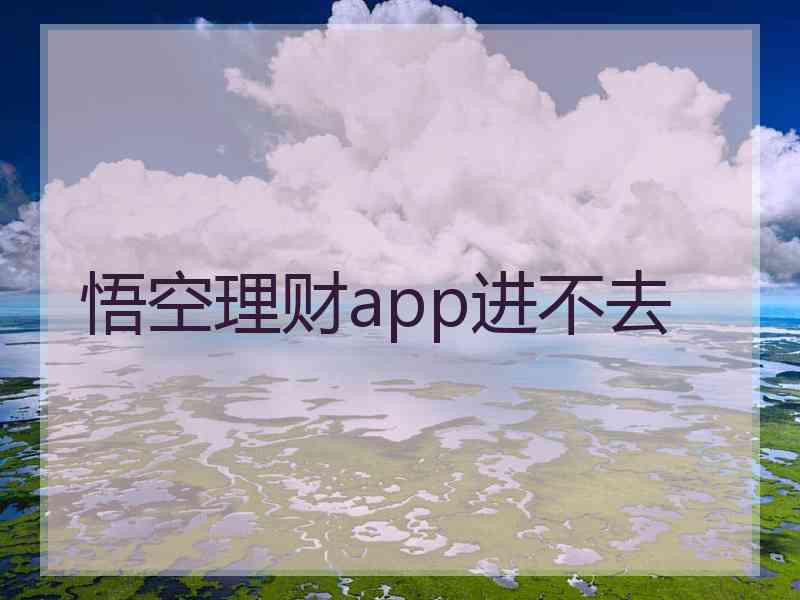 悟空理财app进不去