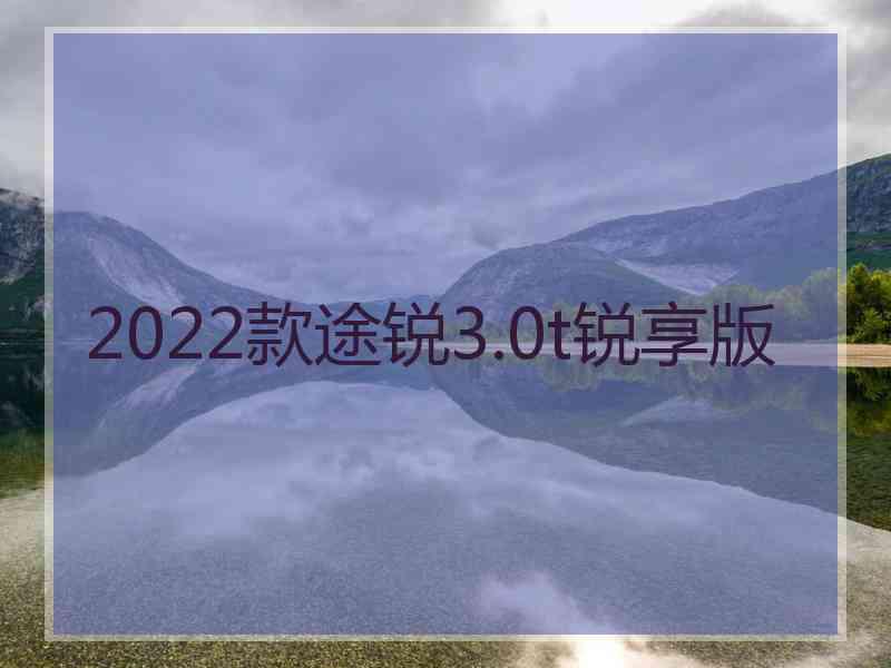 2022款途锐3.0t锐享版