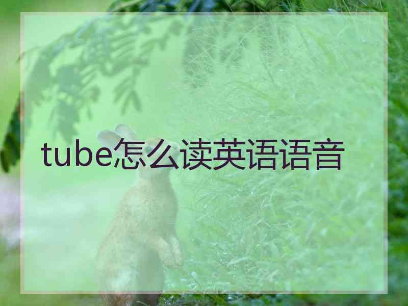 tube怎么读英语语音