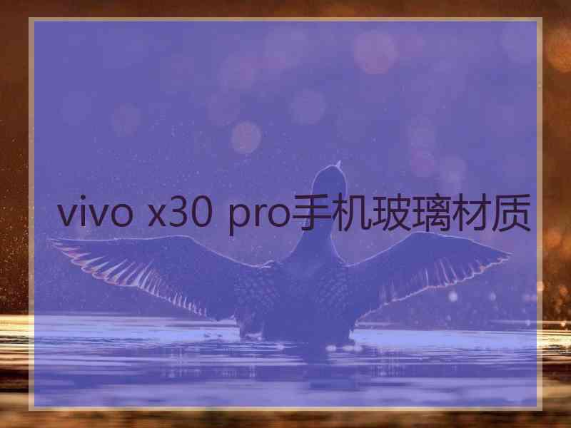 vivo x30 pro手机玻璃材质