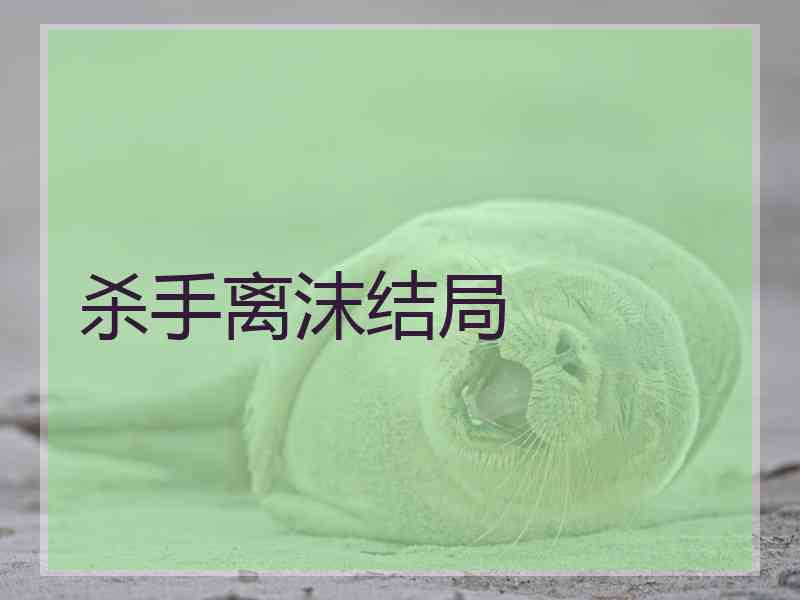 杀手离沫结局