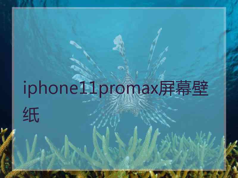 iphone11promax屏幕壁纸