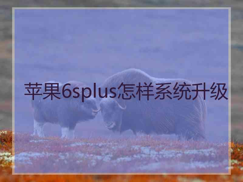 苹果6splus怎样系统升级