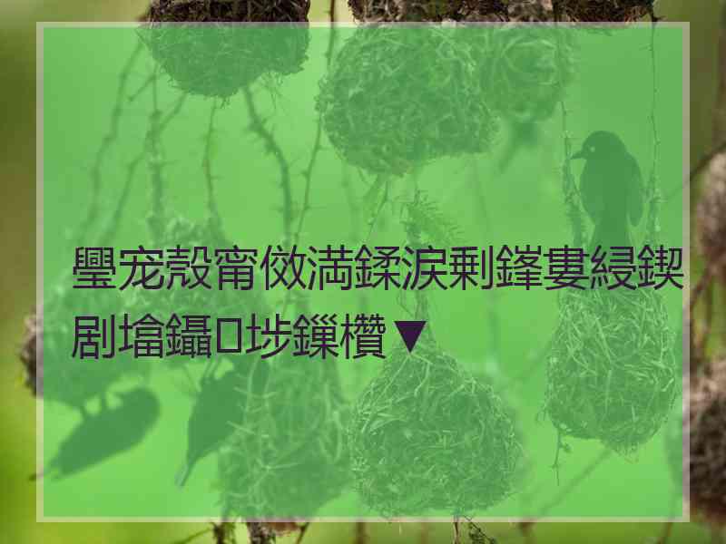 璺宠殼甯傚満鍒涙剰鎽婁綅鍥剧墖鑷埗鏁欑▼