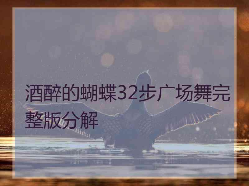 酒醉的蝴蝶32步广场舞完整版分解