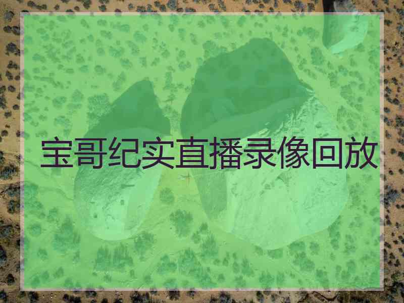 宝哥纪实直播录像回放