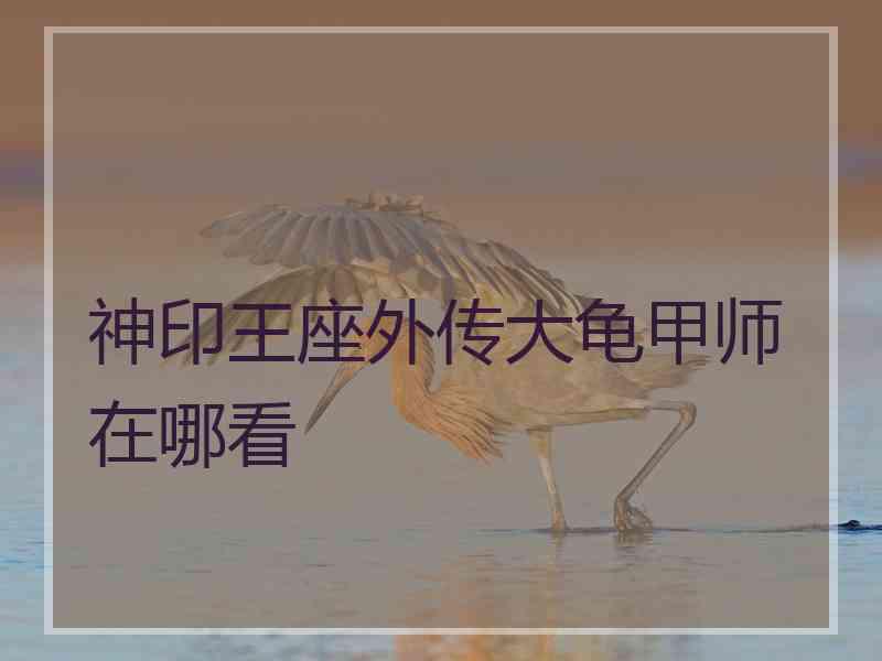 神印王座外传大龟甲师在哪看