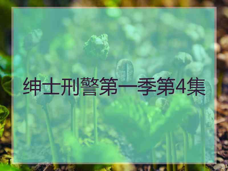 绅士刑警第一季第4集