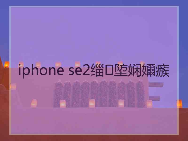 iphone se2缁埅娴嬭瘯