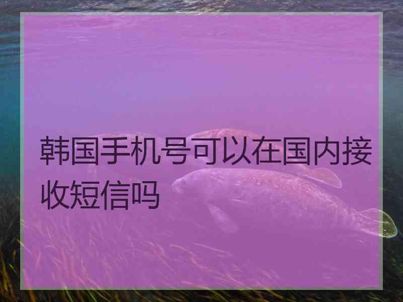 韩国手机号可以在国内接收短信吗