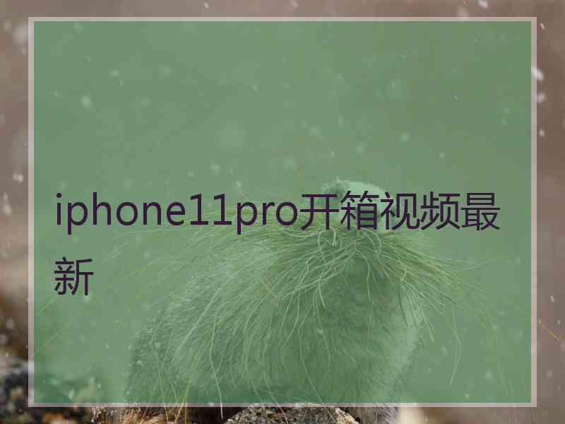 iphone11pro开箱视频最新