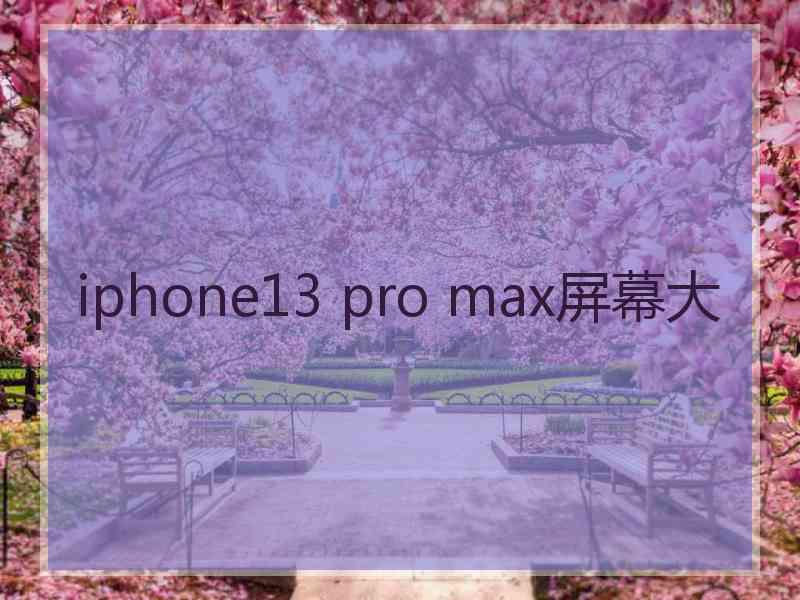 iphone13 pro max屏幕大