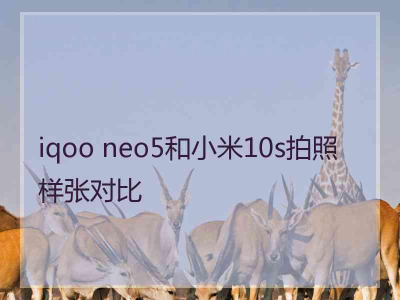 iqoo neo5和小米10s拍照样张对比