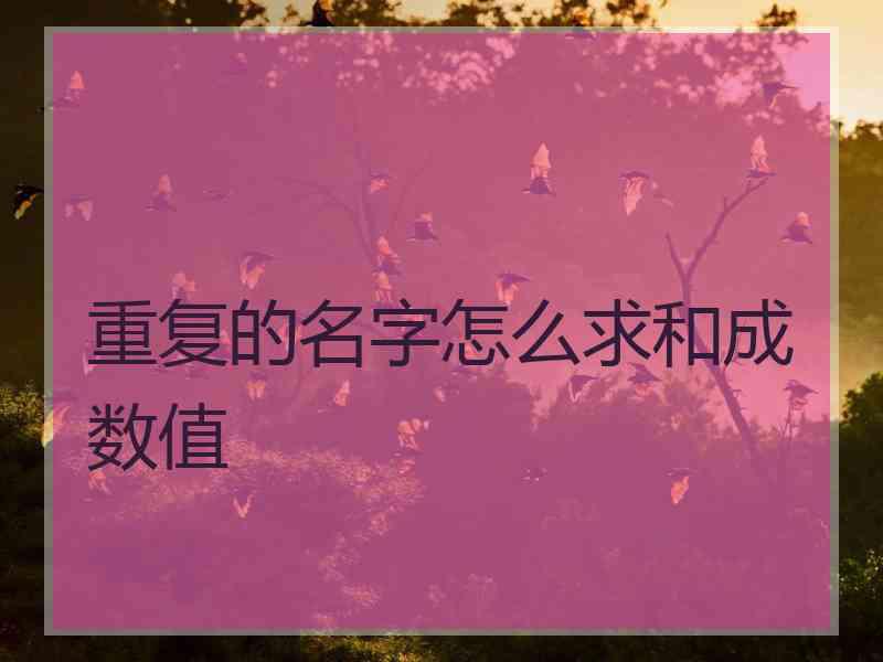 重复的名字怎么求和成数值