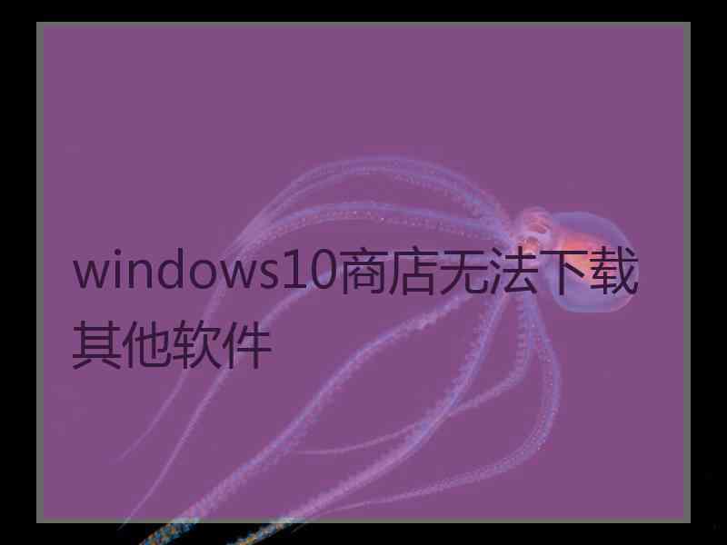 windows10商店无法下载其他软件