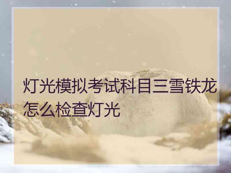 灯光模拟考试科目三雪铁龙怎么检查灯光