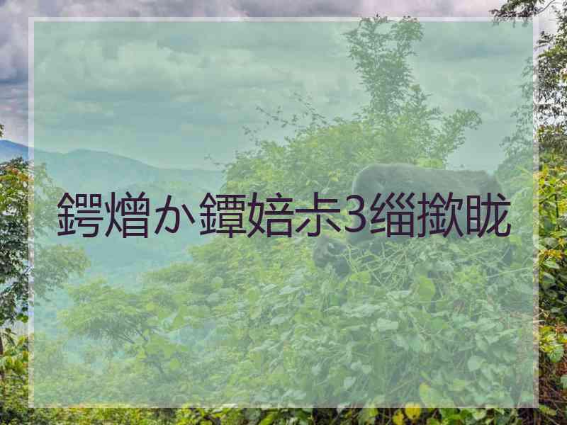 鍔熷か鐔婄尗3缁撳眬