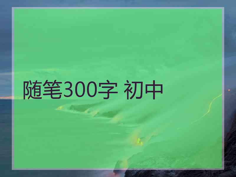 随笔300字 初中