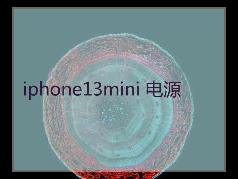 iphone13mini 电源