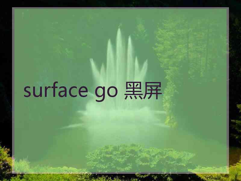 surface go 黑屏