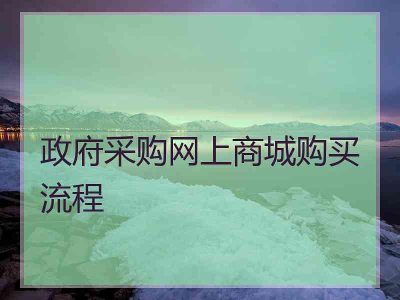 政府采购网上商城购买流程